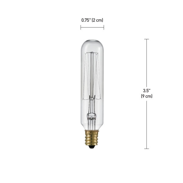 Birch Lane 40 Watt, T6 Incandescent Dimmable Light Bulb, Warm White E12